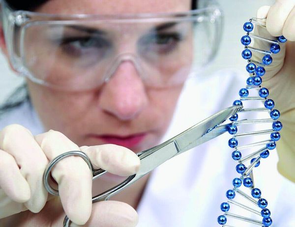 Новые технологии в лечении сахарного диабета