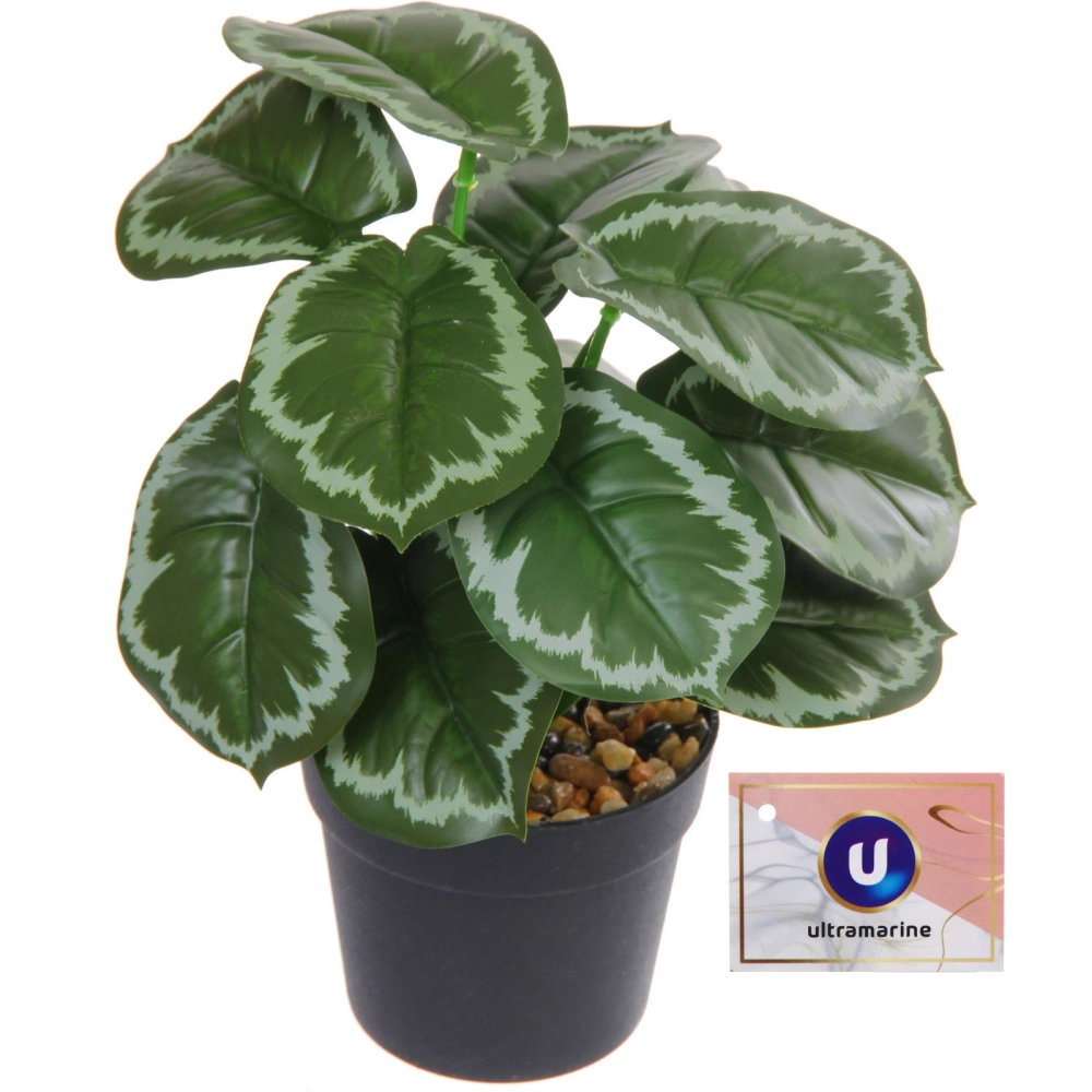 Цветок искусственный в горшке «Сингониум» 22см