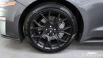 Ford Mustang Coupe (12.2021)