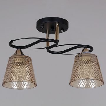 06087-0.3-02 BK+FG светильник потолочный