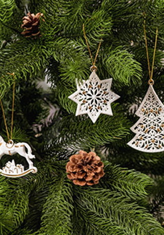 Зимнее кружево