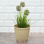 Горшок цветочный Barcelona 1,8л D155мм, молочный шоколад