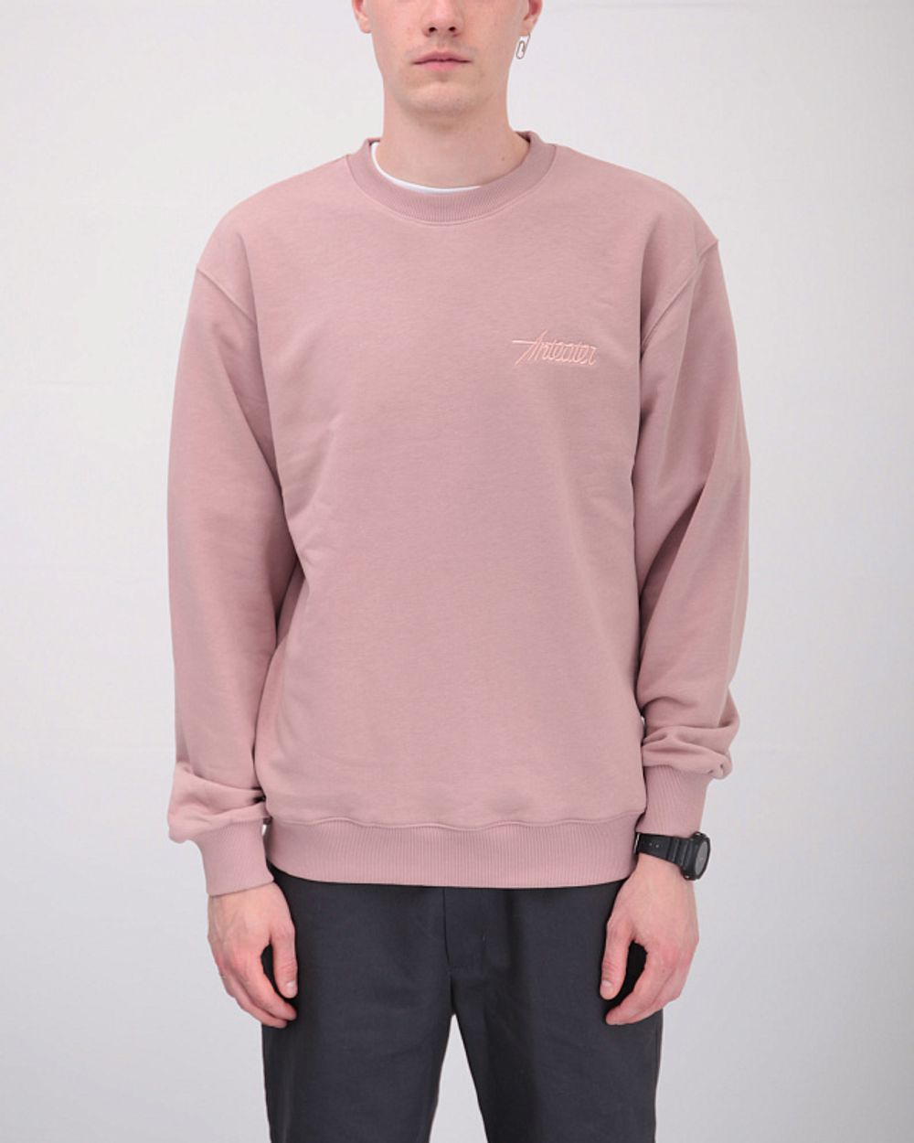 Толстовка ANTEATER Crewneck Пудра