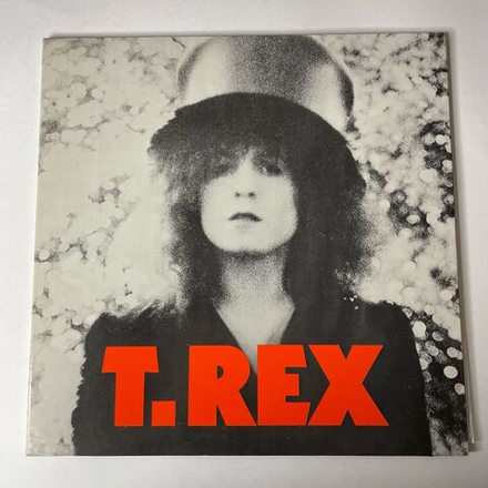 Винтажная виниловая пластинка LP T. Rex The Slider (Japan 1972) (No Obi)