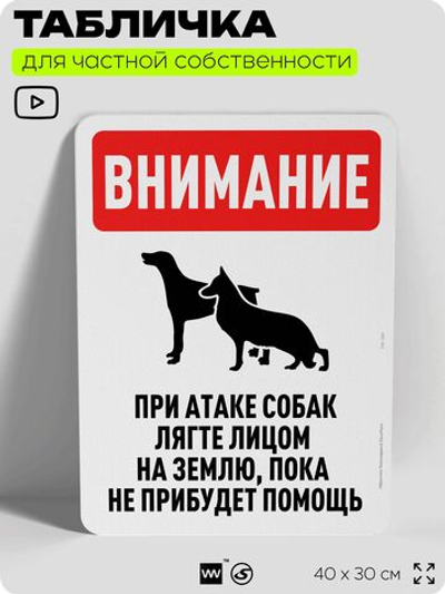 Табличка для частной территории "Внимание, при атаке собак лягте лицом на землю", на дом, для участка, организаций и частных территорий, предупреждающая, 40х30 см, Silver Plane x Айдентика Технолоджи