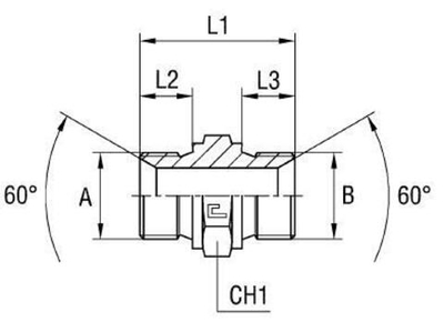 Соединение P BSP 1.1/4" BSP 1.1/4"