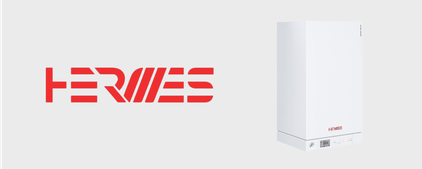 Котлы HERMES (Viessmann) в наличии