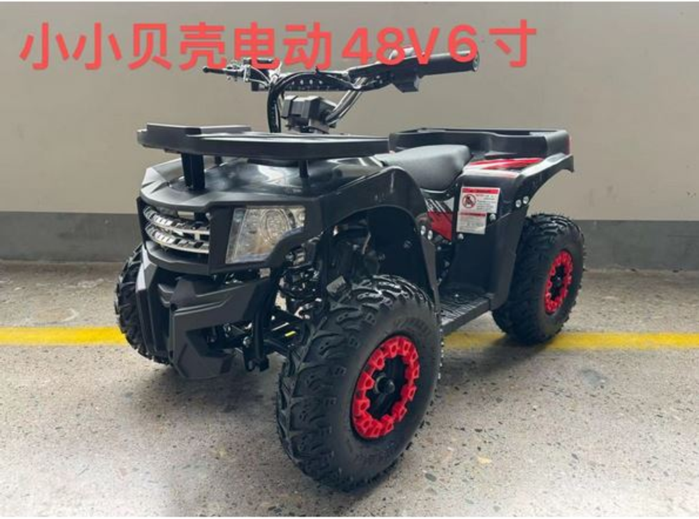 Электроквадроцикл Ikingi 48V 12Ah