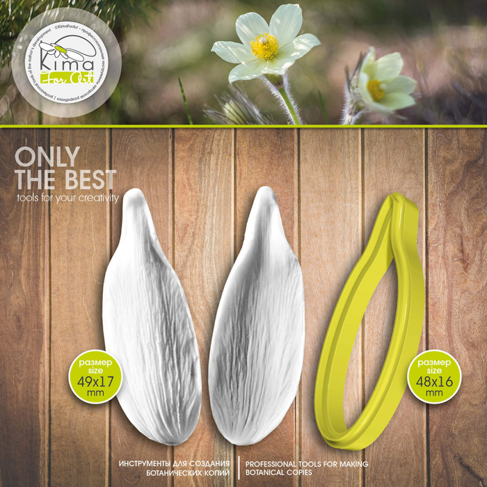 Сон-трава лепесток внутренний