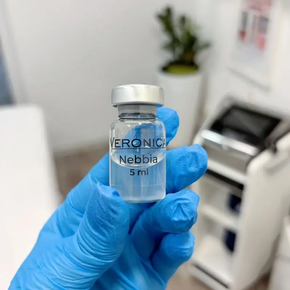Nebbia Veronica