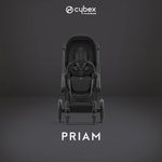 Коляска Cybex Priam IV Matt Black complete и автокресло Cloud G i-Size Lava Grey 3 в 1 Sepia Black