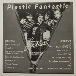 Винтажная виниловая пластинка LP Ray Spex Plastic Fantastic (Europe 2001) (Bootleg)