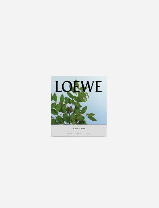 Свеча Loewe 