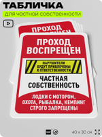 Табличка для частной территории "Проход воспрещен, частная собственность", на дом, для участка, организаций, предупреждающая, 40х30 см, Silver Plane x Айдентика Технолоджи