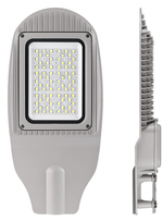 Светильник уличный WOLTA STL_50W01