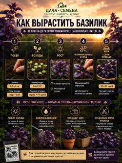 Базилик фиолетовый семена