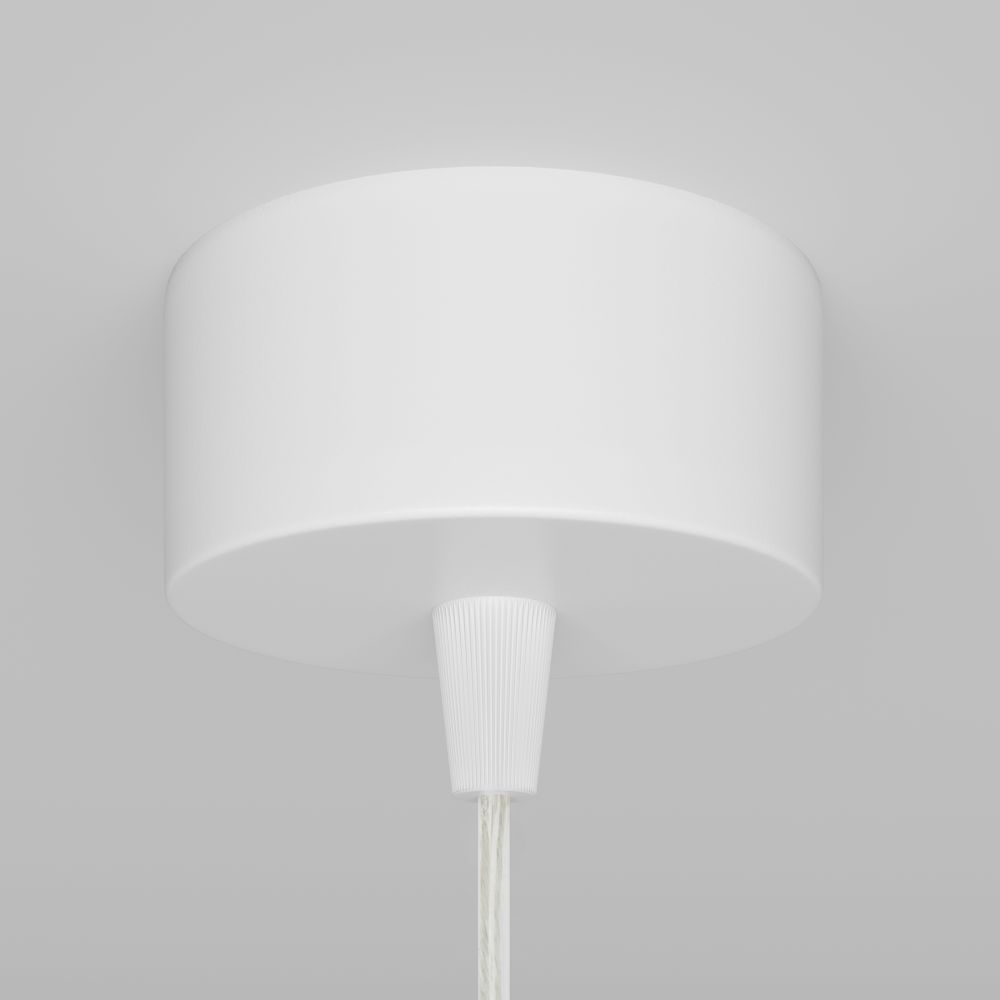 Подвесной светильник Technical P075PL-01W