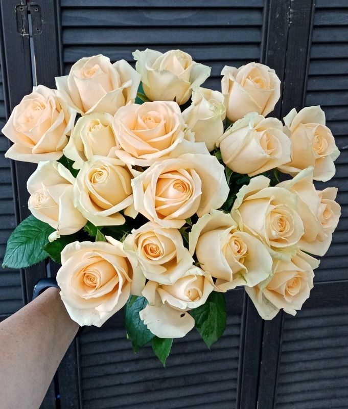 Букет из 19 голландских роз 50 см ( цвет роз на выбор)  #11826