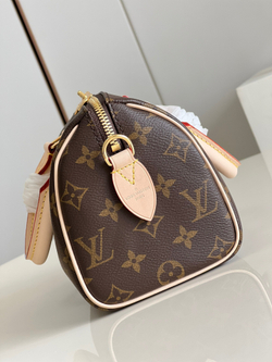 Louis Vuitton Speedy 20