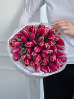 Букет из 51 малиново-белых тюльпанов - нет в наличии