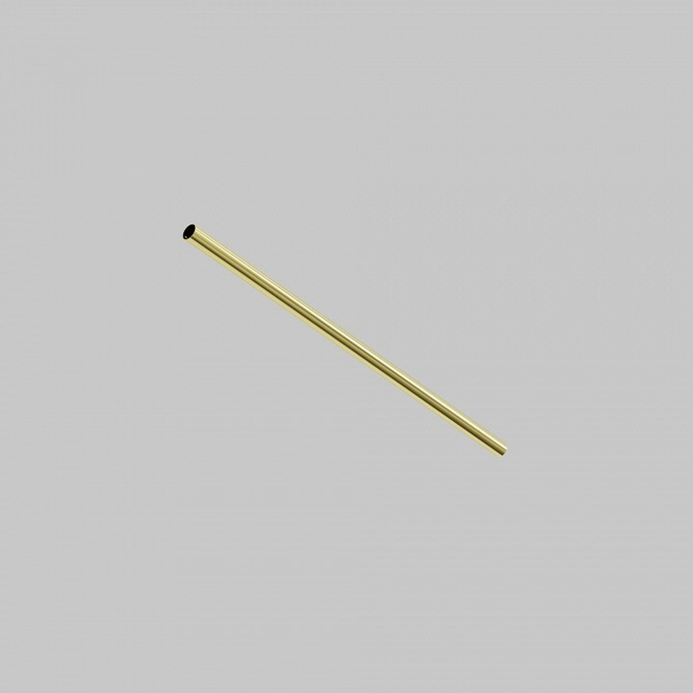 Штанги Maytoni Accessories for system Axity CA001-L500-BS