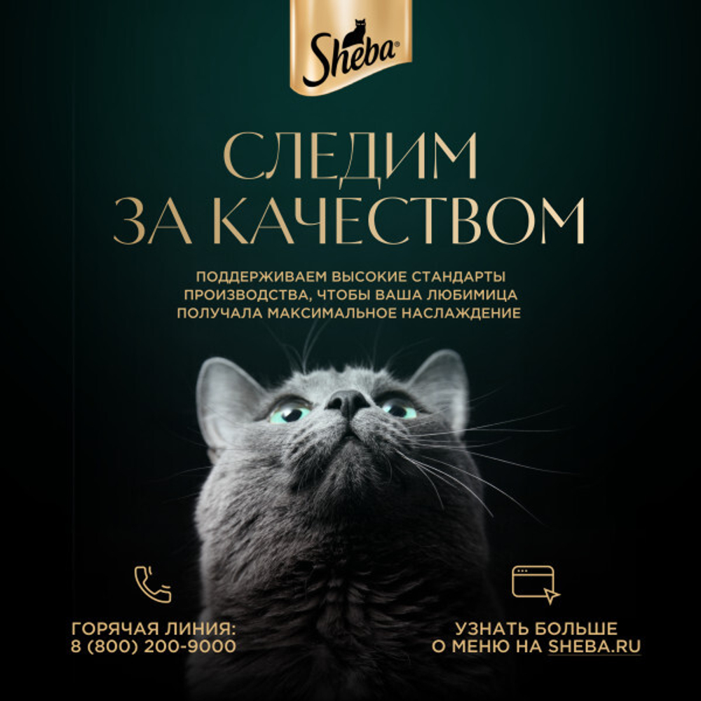Ломтики в соусе форель и креветки, 75г влажный корм для кошек Sheba
