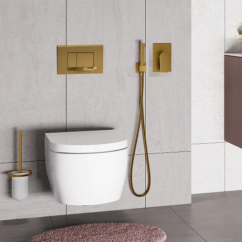 Гигиенический душ WasserKRAFT Aisch 5500 A5551.184.237.213 золото матовое