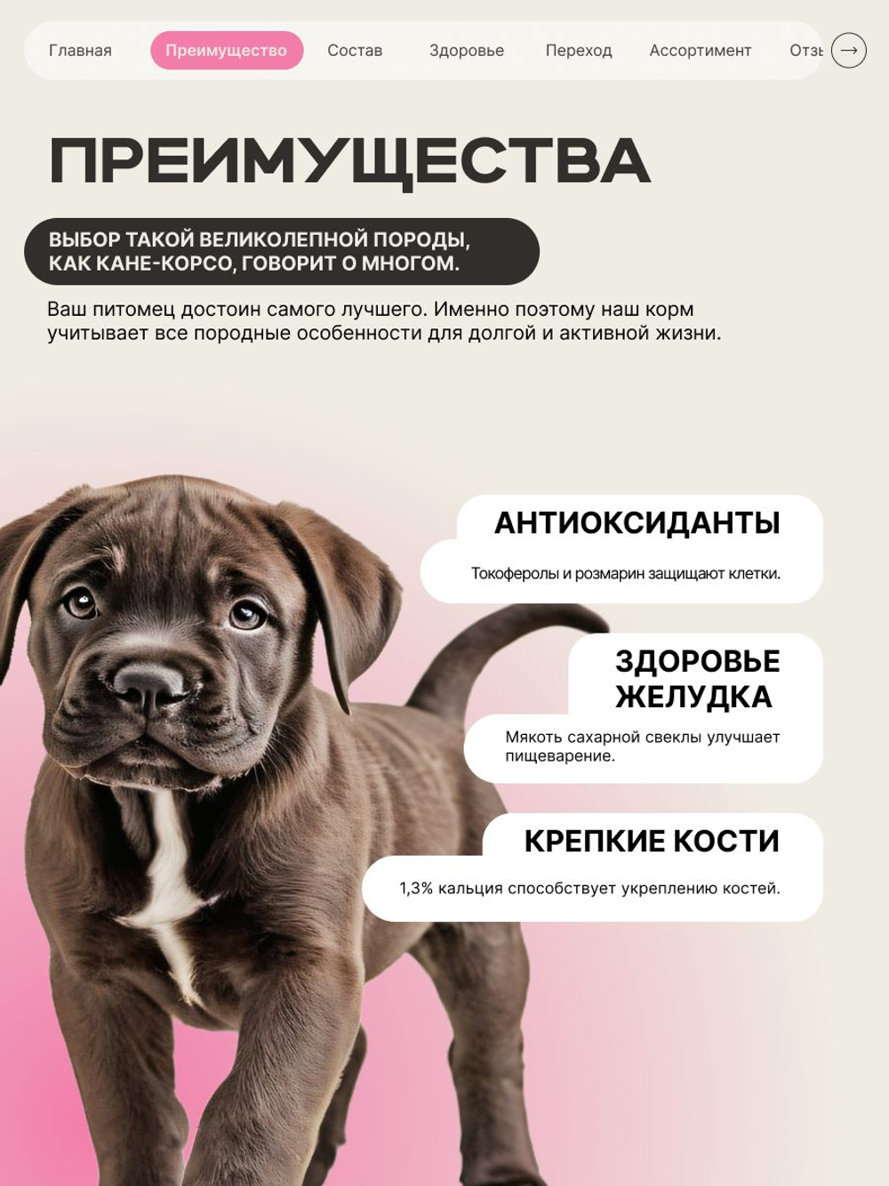 Корм сухой для щенков породы Кане корсо, с говядиной, 3 кг, QUATTRO