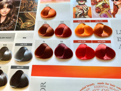 Палитра оттенков Atelier Color Integrative