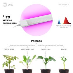 Светильник для растений, фитолампа светодиодная линейная ЭРА FITO-36W-RB-N красно-синего спектра 36 Вт | Линейные фито светильники