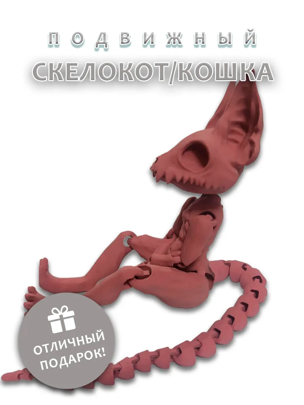 Скелет Кошки