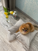 8109 MD Коврик-подстилка + подушечка-седечко PREMIUM светло-серые, мягкий МЕХ "Furry Heart Sleep Place" (M)