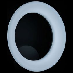 Бра Citilux Паркер CL225B310