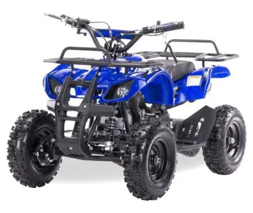 Квадроцикл MOTAX ATV Mini Grizlik X-16 (э/с)