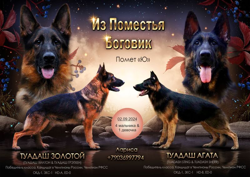 Помет "Ю"
