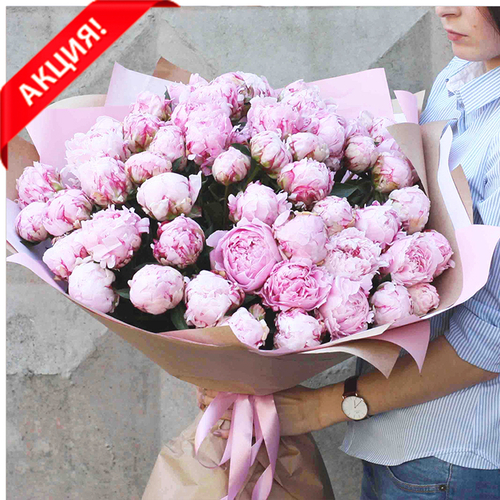 Купить Букет 51 пион "Sarah Bernhardt"