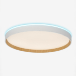 Потолочный светодиодный светильник Citilux Etalon CL750400R