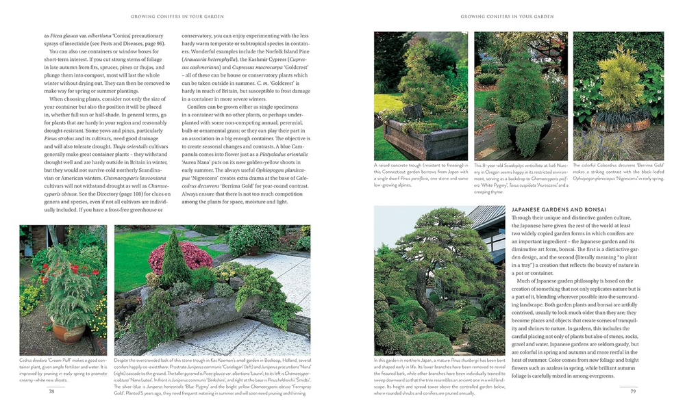 Gardening with conifers