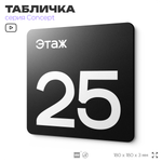 Табличка Этаж 25, на дверь и стену, навигационная и информационная, серия CONCEPT, 18х18 см, Айдентика Технолоджи