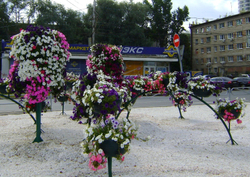 Арка Перекрест