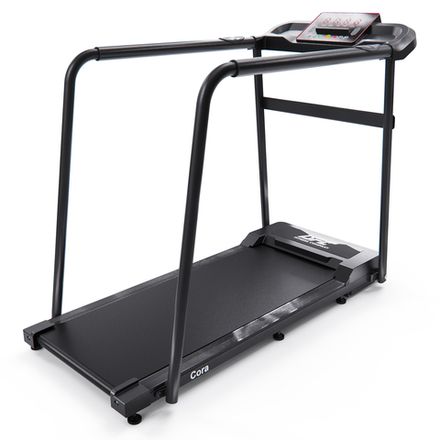 Беговая дорожка DFC Cora T165