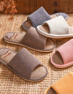 Домашние тапочки Paul Frank Flax (Blue)