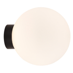 Светильник накладной MUNICH под лампу G9,  опаловое стекло,  черное основание,  D200xH220мм,  IP54