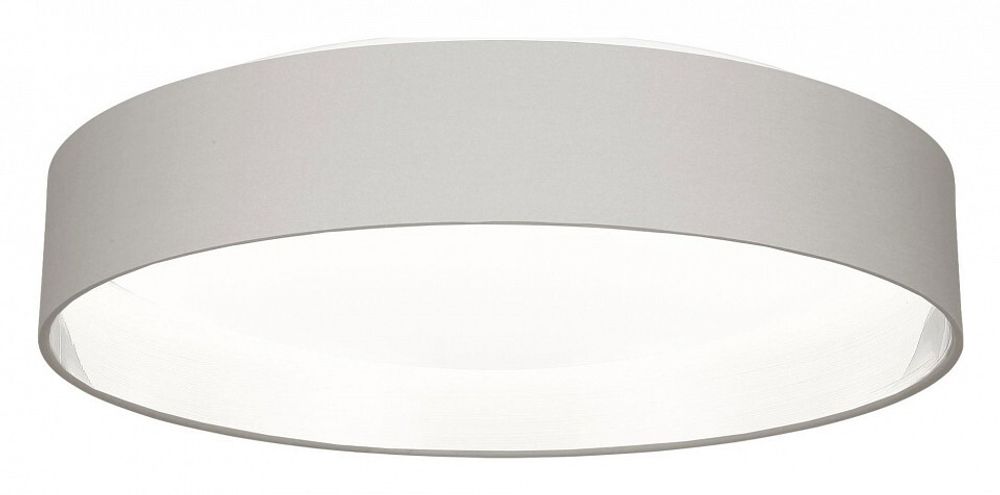 Накладной светильник EVOLUCE Brescia SLE300512-01