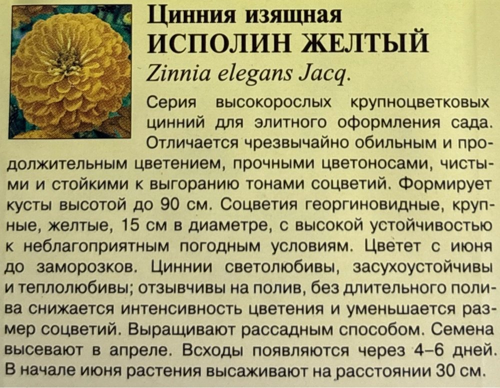 Цинния Исполин желтый 0,3 г СМЦ-324