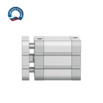 ADNGF-63-100-P-A Пневмоцилиндр