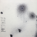 Nine Inch Nails / Bad Witch (LP)