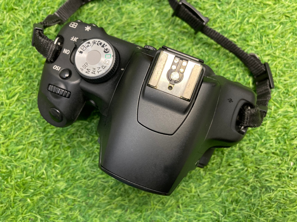 Canon 500D 40.000 кадров
