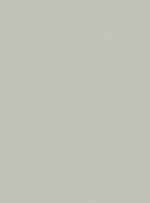 Пантон - 61 (бежевая)