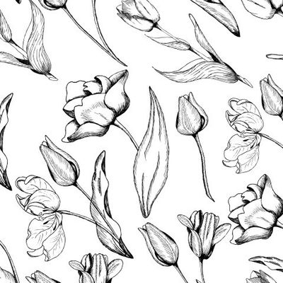 Тюльпаны 2 - черные на белом фоне